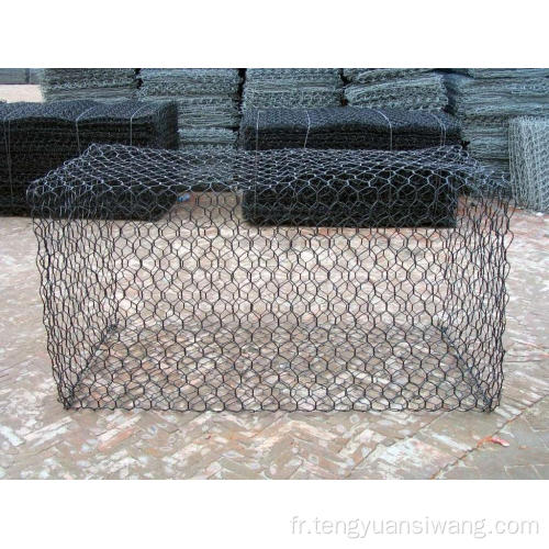 Guangzhou Cage hexagonale / fil de fil Gabion Mesh